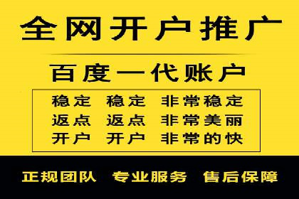 解析某某SEM服务公司的广告投放策略与效果评估